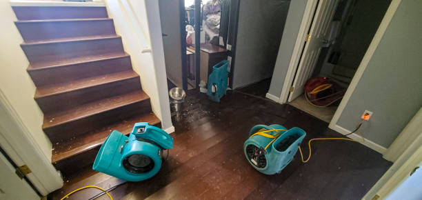 Best Professional water damage repair  in Port Oconnor, TX
