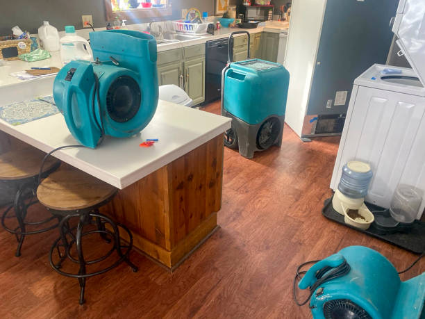 Best Mold removal after water damage  in Port Oconnor, TX