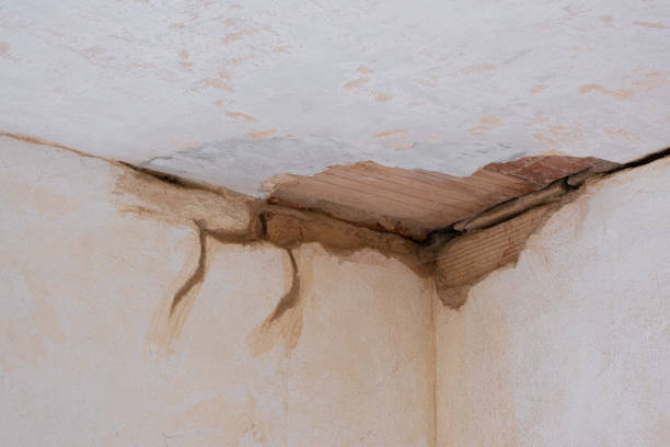 Best 24/7 water damage repair  in Port Oconnor, TX