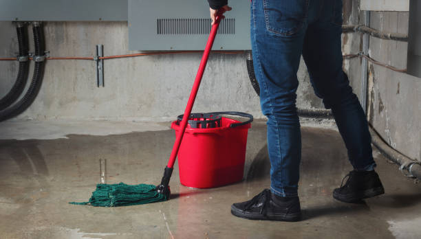 Best Flooded house restoration  in Port Oconnor, TX