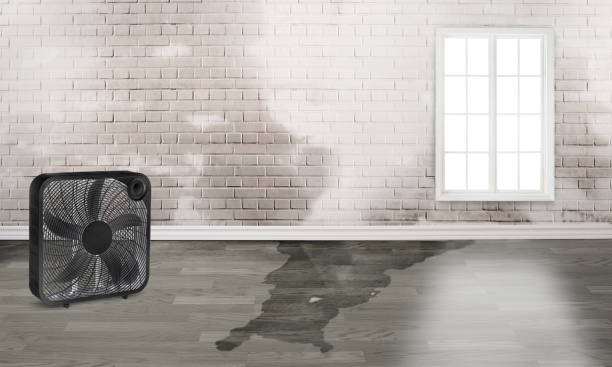 Best Emergency water damage restoration  in Port Oconnor, TX