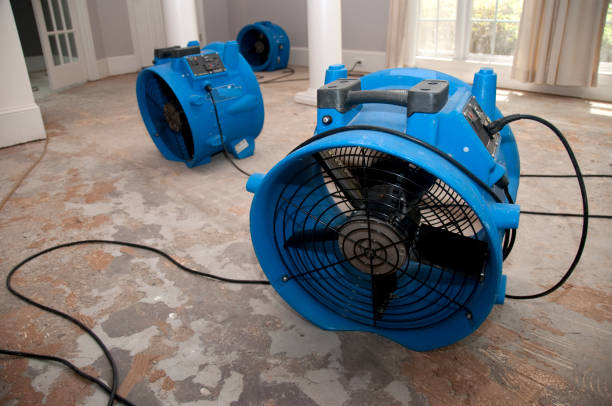 Best Flood damage cleanup  in Port Oconnor, TX