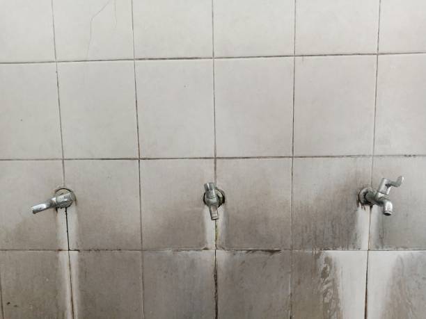 Best Local water damage restoration  in Port Oconnor, TX