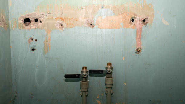Best Basement water damage restoration  in Port Oconnor, TX