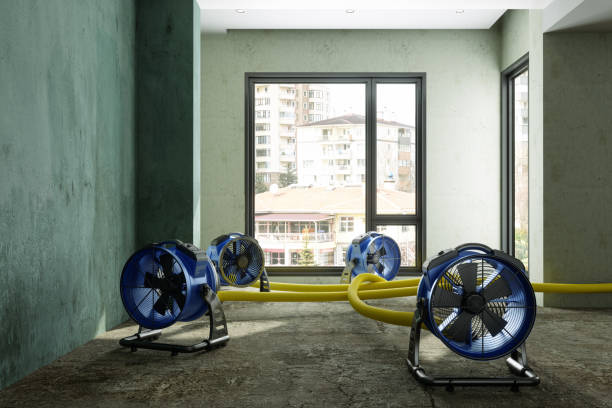Best Water damage restoration near me  in Port Oconnor, TX
