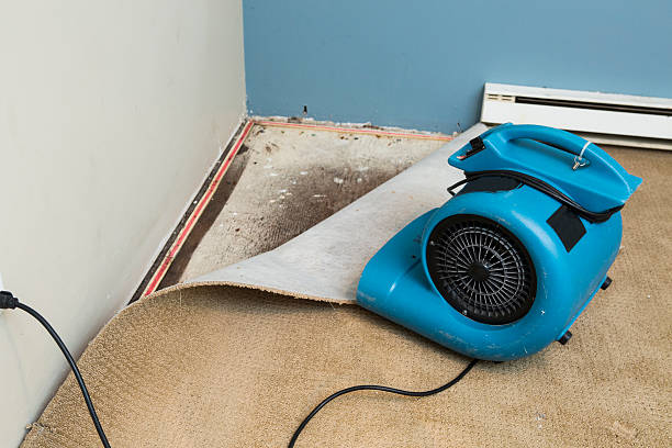  Port Oconnor, TX Water damage restoration Pros